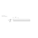 LEDlink neonFLEX-0410-24 Blue (24V / 12W/m / IP67)